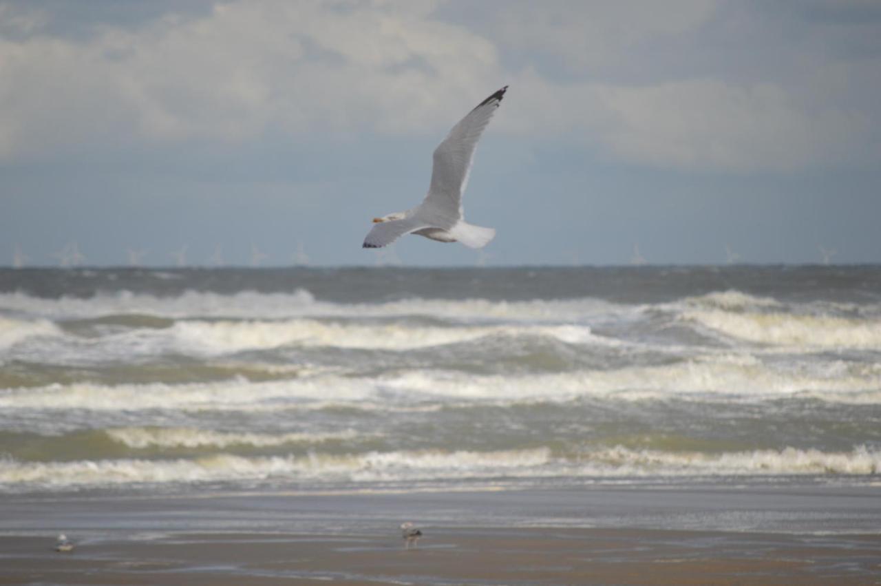 Huisjes Aan Zee De Haan Zewnętrze zdjęcie